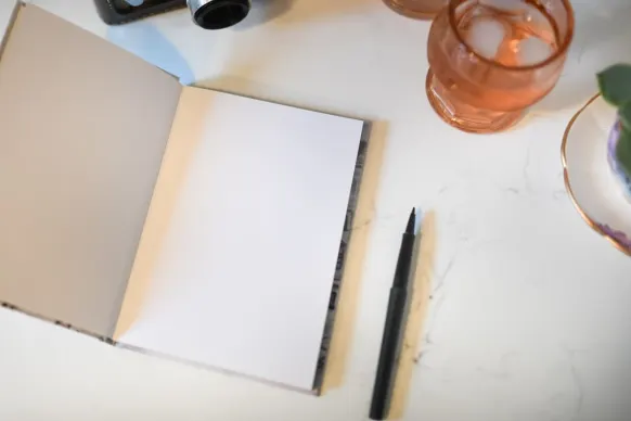 Tortuga Casino Supporto